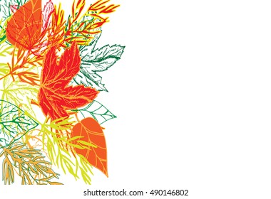 Autumn  background with element of grass and leaves. Hand drawn elements for your design. Vector illustration