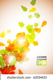 autumn background, eps10