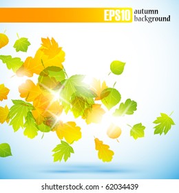 autumn background, eps10