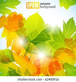 autumn background, eps10