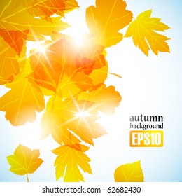 autumn background, eps10