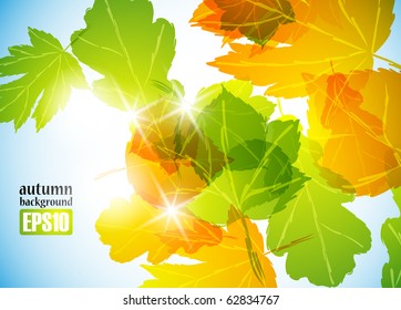 autumn background, eps10