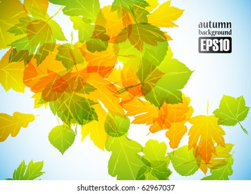 autumn background, eps10