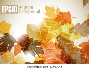 autumn background, eps10