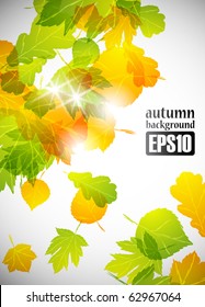 autumn background, eps10