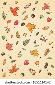 Autumn background with fall elements such as the leaves of various trees in an autumn color 