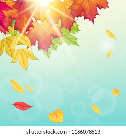 Autumn background with autumn fall leafs, blue sky and bright sun. Vector illustration