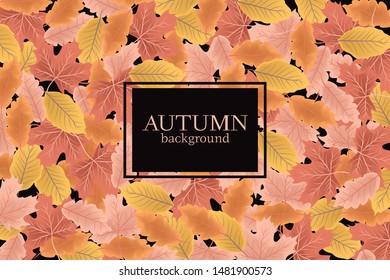 Autumn background with fall leaves