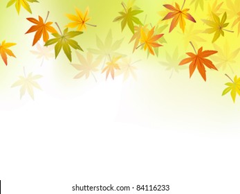 Autumn background - fall leaves
