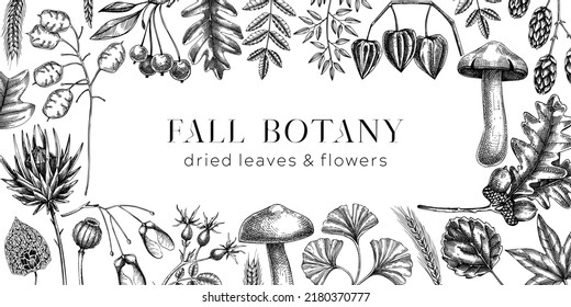 Autumn background with fall leaves and dried flowers. Thanksgiving frame design. Fall backdrop in sketched style. Dried herbs, falling leaves, mushrooms, seeds banner. Black and white illustration. 