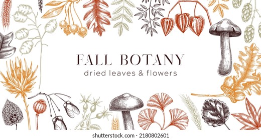 Autumn background with fall leaves and dried flowers. Thanksgiving frame design. Fall backdrop in sketched style. Dried herbs, falling leaves, mushrooms, seeds banner. Botanical illustration. 