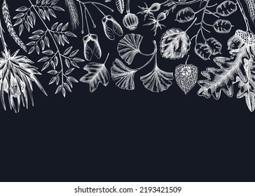 Autumn background. Fall leaves and dried flowers banner. Botanical border template. Hand-drawn dried herbs, forest plants, foliage, and mushrooms illustration. Thanksgiving background on chalkboard