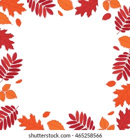 Autumn background. Fall of the leaves. Sketch, doodles, design elements. Vector illustration.