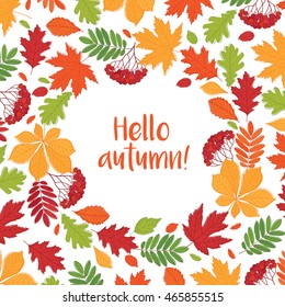 Autumn background. Fall of the leaves. Sketch, doodles, design elements. Vector illustration.
