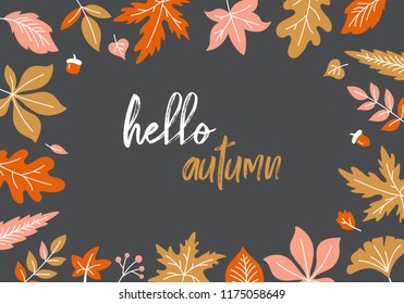 Autumn background with fall leaves and typography  design. Vector illustration