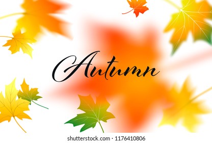 Autumn background. Fall maple leaves. Flying foliage. Vector illustration