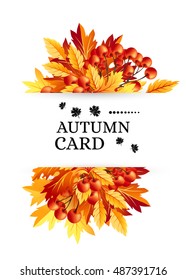 Autumn background with fall maple tree leaves and rowanberry. Vertical vector  invitation banners with season foliage decorations and copy space