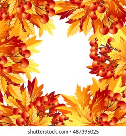 Autumn background with fall maple tree leaves and rowanberry. Vector  banners with season foliage decorations and copy space