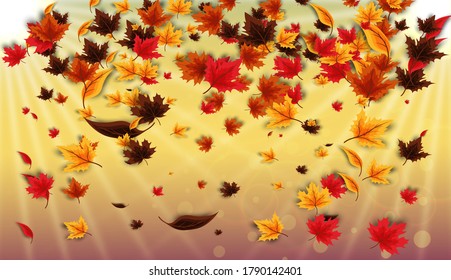 Autumn background with fallen leaves