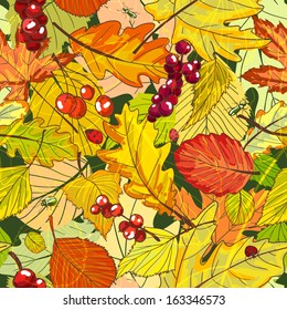 Autumn background with fallen leaves and berries vector illustration