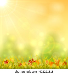 Autumn background with fallen leaves in the grass and and bright sun in the sky, illustration.