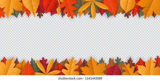 Autumn background with fallen leaves isolated on transparent background. Vector illustration