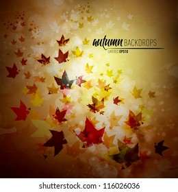 Autumn Background with Fallen Leaves | Vector EPS10 with organized layers