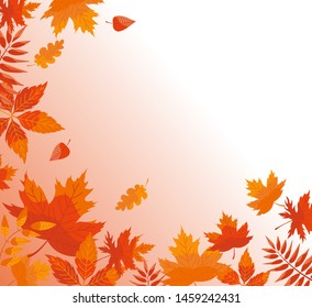 Autumn background with fallen leaves. Vector banner