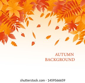 Autumn background with fallen leaves. Vector banner