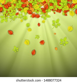 Autumn Background with Falling Leaves