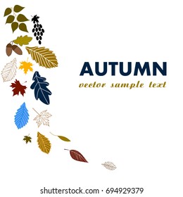 Autumn Background with Falling Leaves Close Up Isolated on White Background
