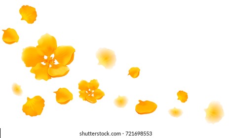 Autumn background falling leaves. Autumn foliage fall. leaf flying in wind. Design, composition with yellow leaves leaf. 