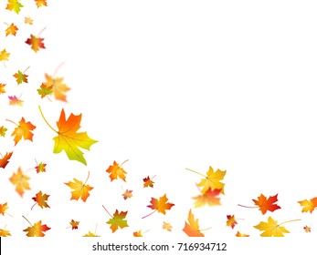     Autumn background with falling leaves. Maple leaves. Flying foliage in motion blur. Fall vector design 