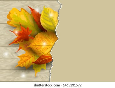 Autumn background with  falling leaves on wooden background with paper sheet. Place for text. Great for bridal shower, party invitation, sale, wedding, web, autumn festival. Vector illustration.