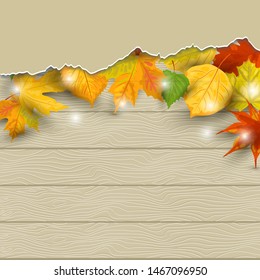 Autumn background with  falling leaves on wooden background. Place for text. Great for bridal shower, party invitation, seasonal sale, wedding, web, autumn festival. Vector illustration.