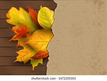 Autumn background with  falling leaves on dark wood background with paper sheet. Place for text. Great for party invitation, autumn sale, wedding, web, fall festival. Vector illustration.