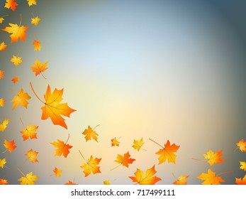 Autumn background with falling leaves on cloudy sky. Maple leaves. Flying foliage in motion blur. Fall vector design 