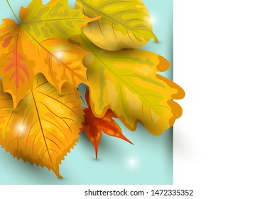 Autumn background with  falling leaves, paper sheet. Place for text. Great for party invitation, autumn sale, wedding, web, fall festival. Vector illustration.