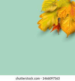 Autumn background with  falling leaves. Place for text.  Great for party invitation, seasonal sale, wedding, web, autumn festival, poster. Vector illustration.