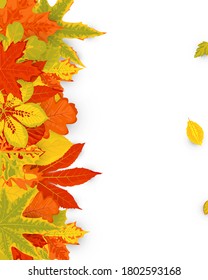 Autumn background with falling leaves. Place for text. Great for sale, party invitation, web, fall festival, Happy Thanksgiving day. Vector illustration.
