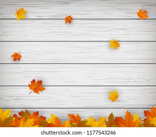 Autumn background with falling leaves. Red, yellow and orange autumn leaves. Vector illustration