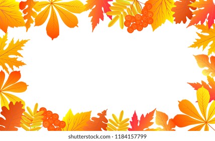 Autumn background with falling leaves and rowan berries.