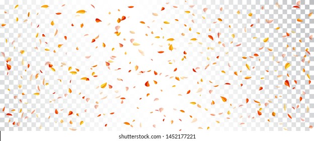 Autumn background. Falling leaves. Vector illustration. The frame of the leaves. Element for design business cards, invitations, gift cards, flyers and brochures.