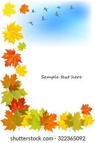Autumn background. Falling Maple leaves flying cranes with on background of blue sky. Elegant design with text space. Can be used for flayers, banners, posters. Vector illustration.