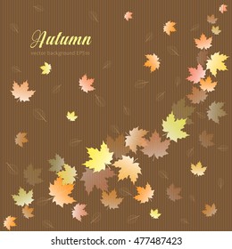 Autumn Background With Falling Maple Leaves. Elegant Design with Text Space. Can be used for cards, cover and blog design. Vector Illustration.
