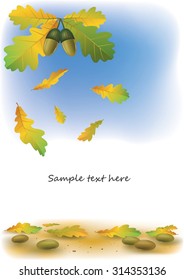 Autumn background. Falling oak leaves on background of blue sky. Elegant design with text space.  It Can be used for flayers, banners, posters.Vector illustration.