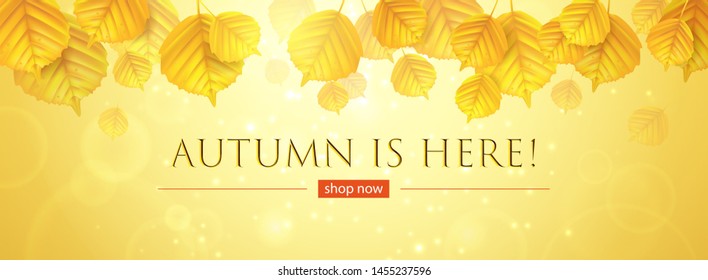 Autumn background with falling yellow leaves in the foreground.Banner with a seasonal sale