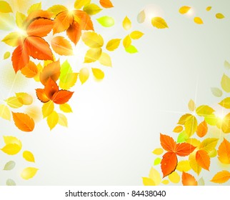 autumn background  with falling yellow leaves