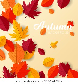 Autumn background with flat leaves design