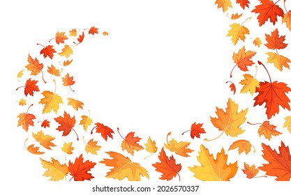 Autumn background with flying and falling maple leaves. Colorful banner with swirling red, yellow and orange leaves. Template for wave autumn pattern with an empty space for text. Isolated. Vector